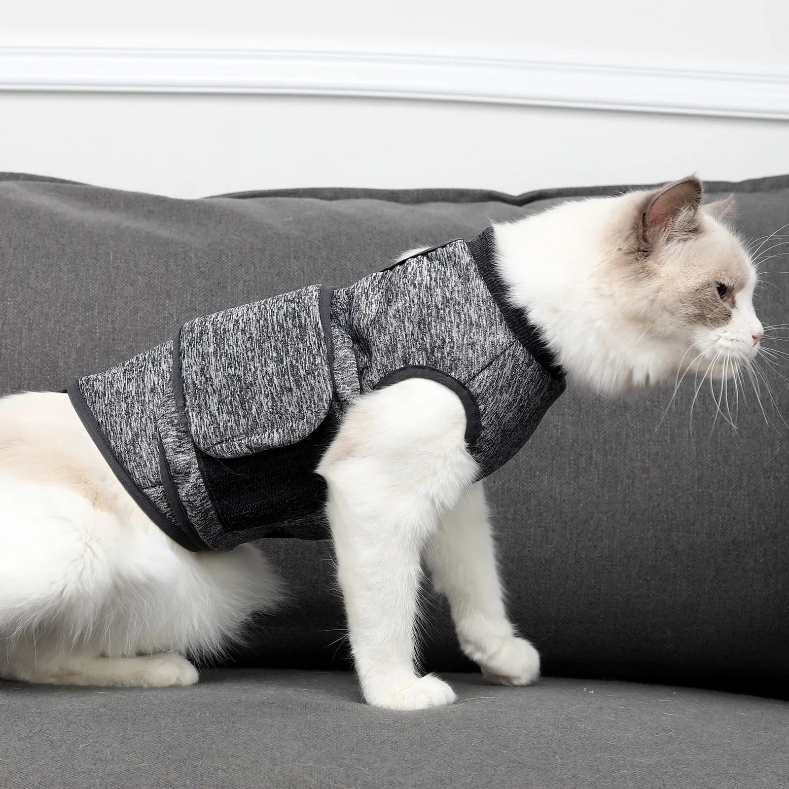 Comfort and Calm: Cat Anxiety Relief Jacket for Stress-Free Living