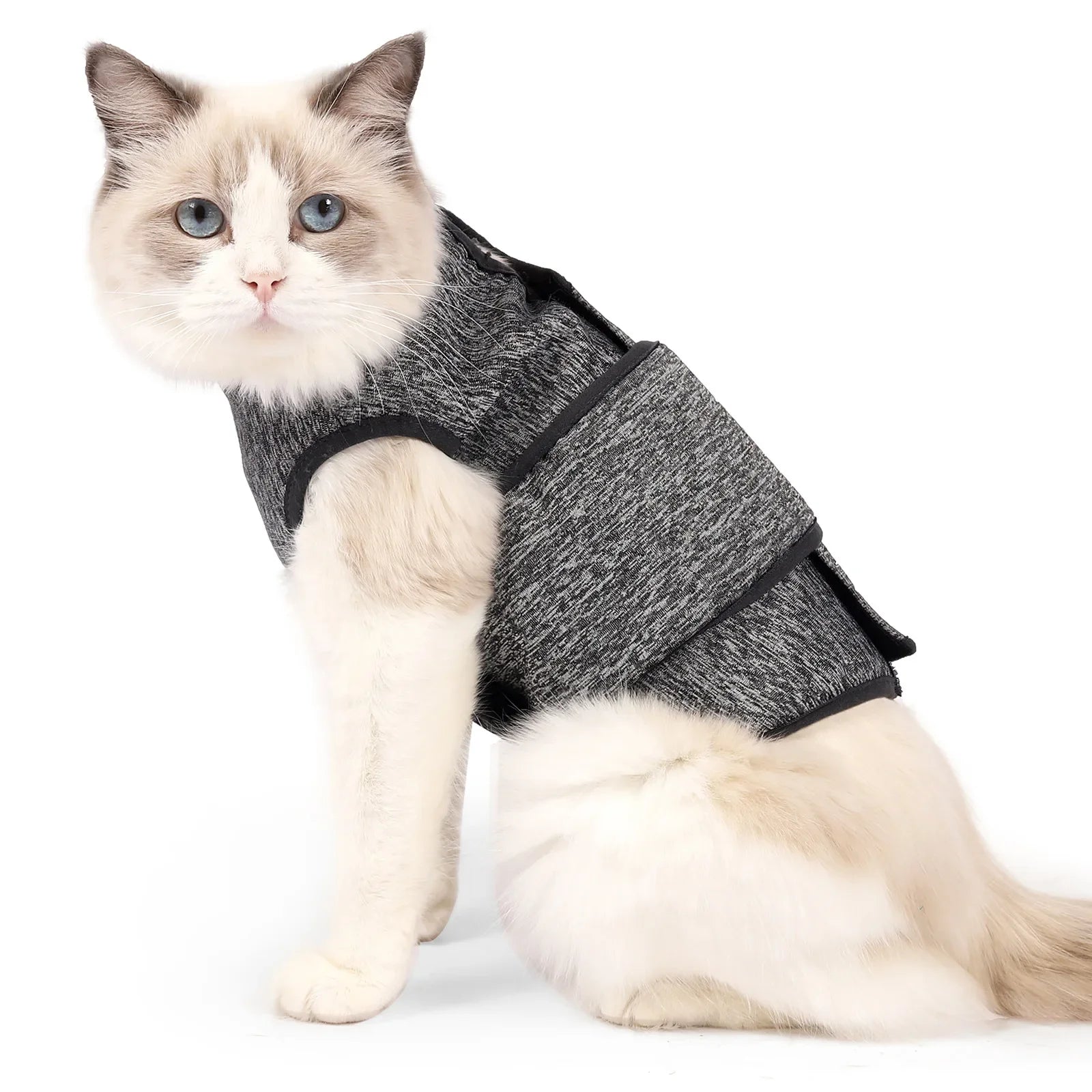 Comfort and Calm: Cat Anxiety Relief Jacket for Stress-Free Living